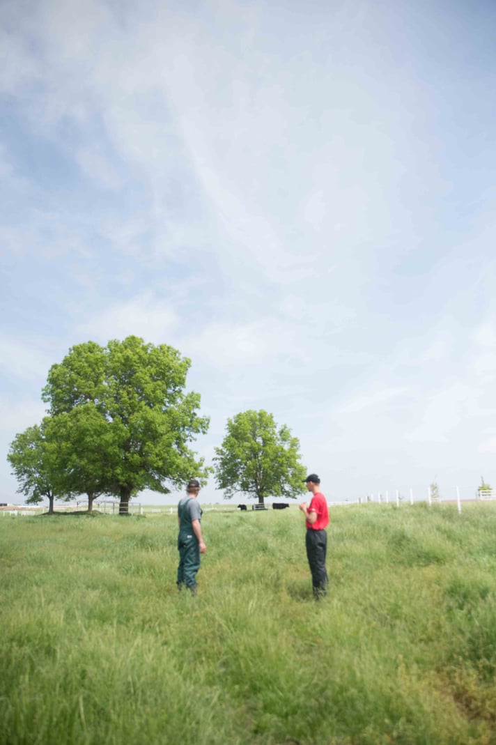 Two people stand in a grassy field, discussing under a clear sky with trees and cows in the background.