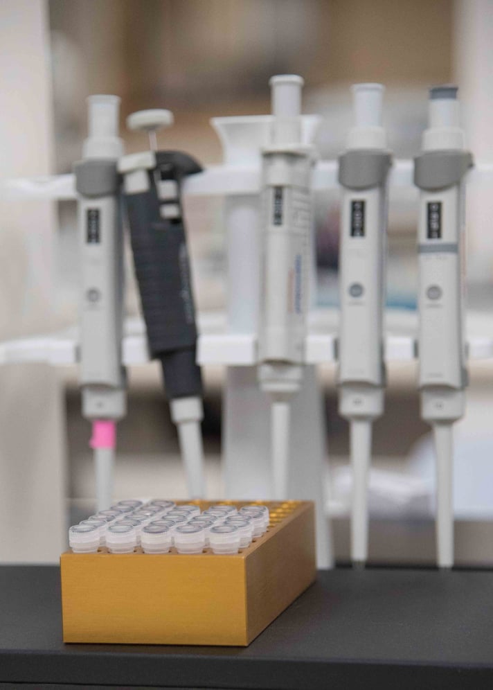 Pipettes in a rack behind a yellow holder with small tubes, set on a lab bench, creating a scientific workspace atmosphere.
