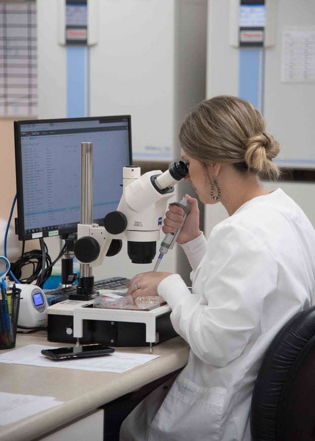 Lab technician using a microscope and pipette while examining samples at a laboratory workstation.