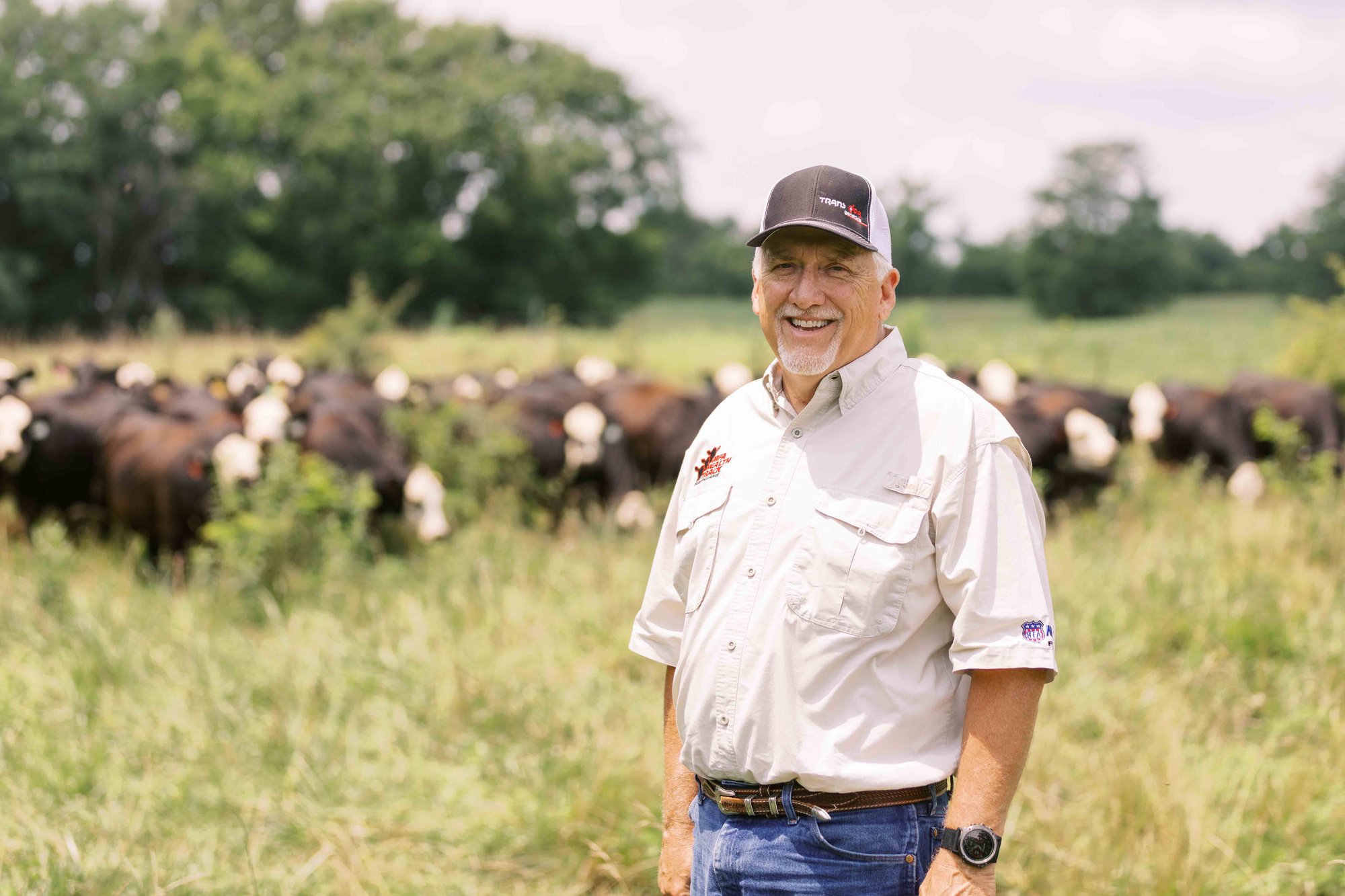 Smiling man in a cap stands in a sunny field with a herd of cows grazing in the background, surrounded by lush greenery.