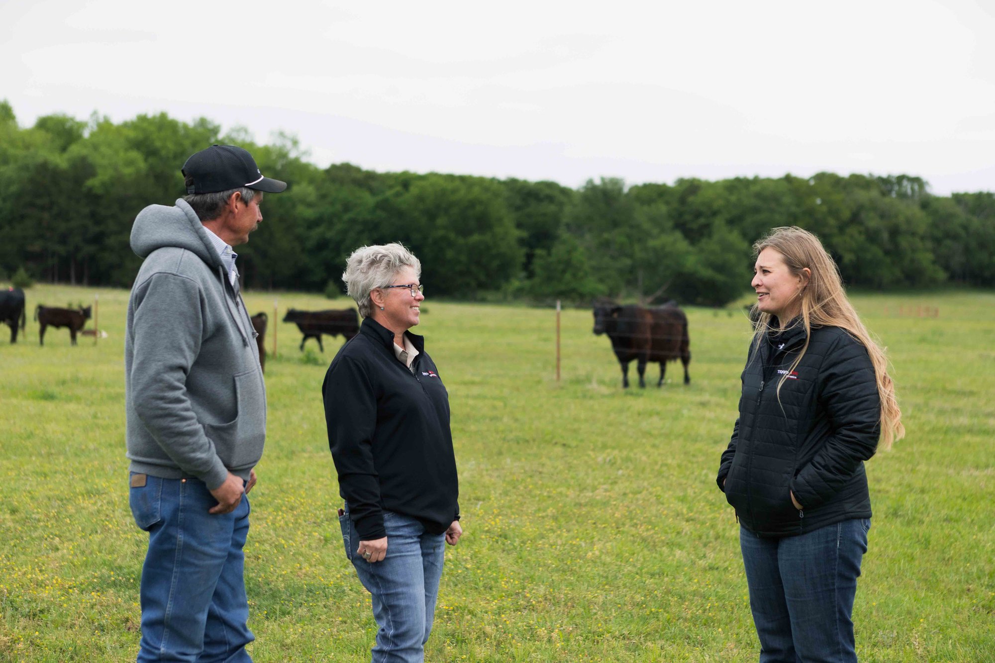 Three people converse in a green pasture with cows grazing nearby, under a cloudy sky, surrounded by lush trees.