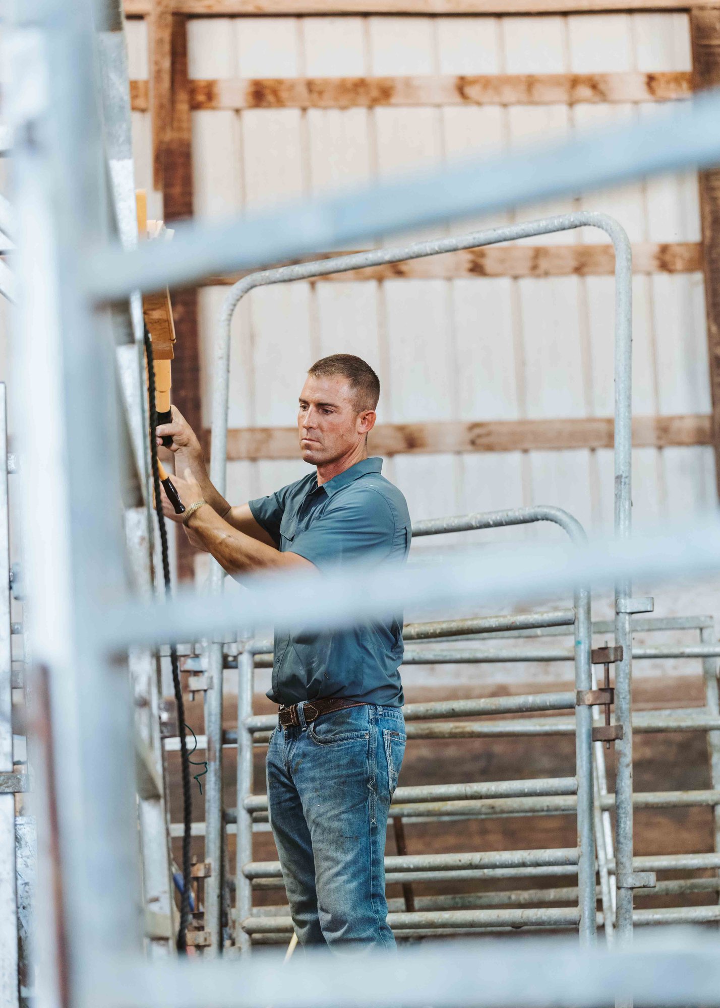 Man working with livestock handling equipment inside a barn.