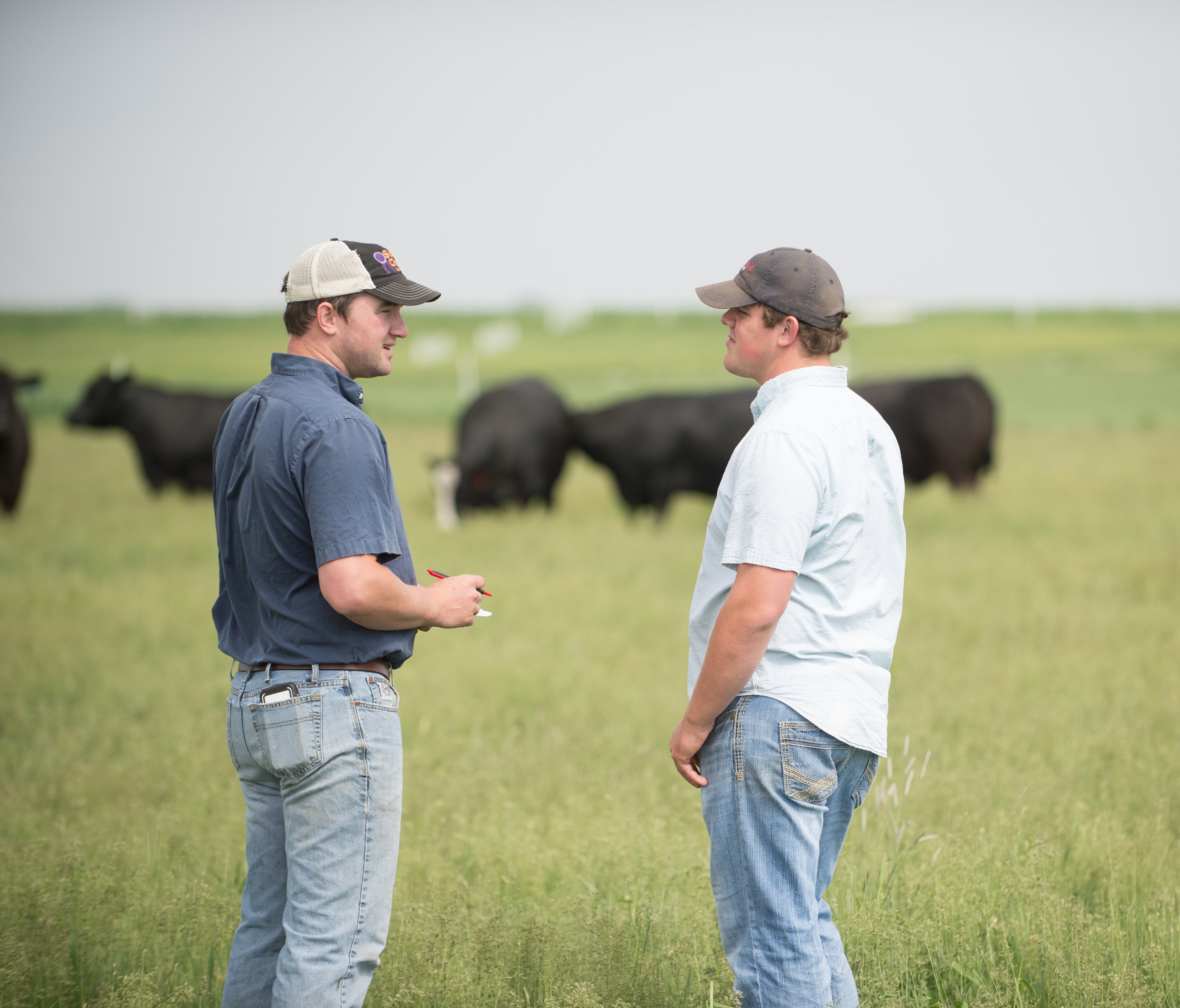 men-talking-with-cows-in-background