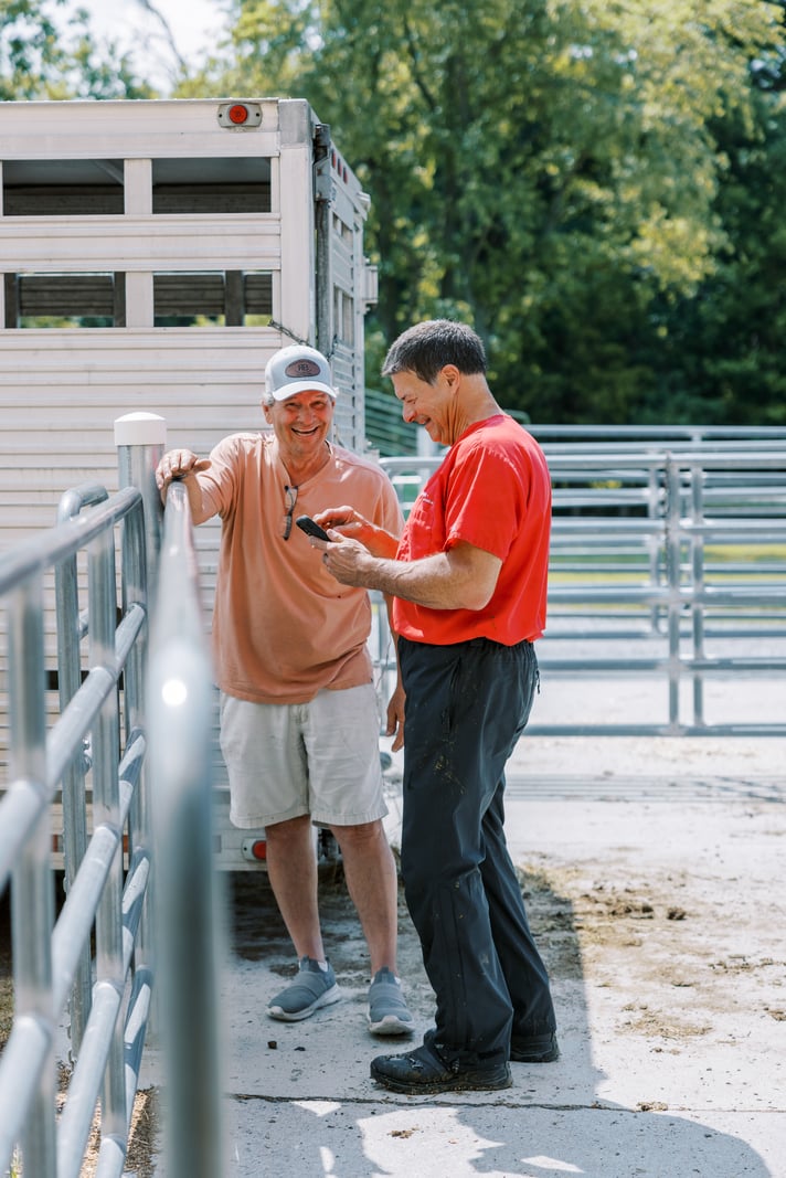 men standing laughing by cattle trailer