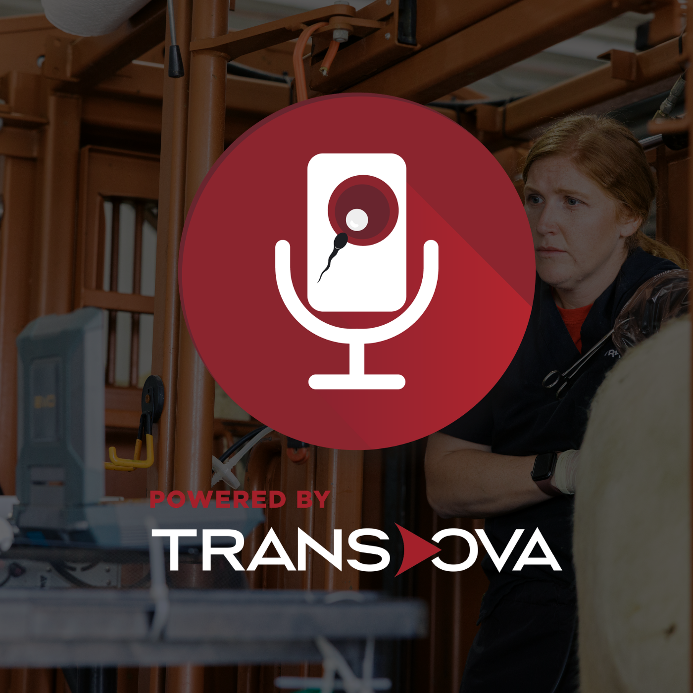 Partnerships Matter: Alyssa Fagner